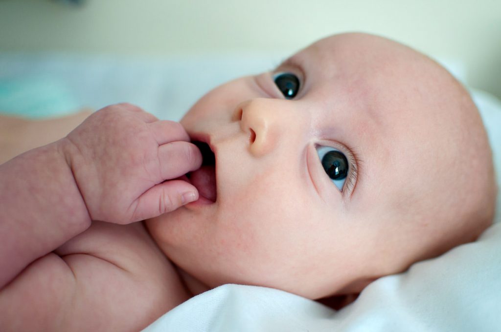 Portfólio de Fotografia de Família da LuPorfirio, fotógrafa de São Paulo e região